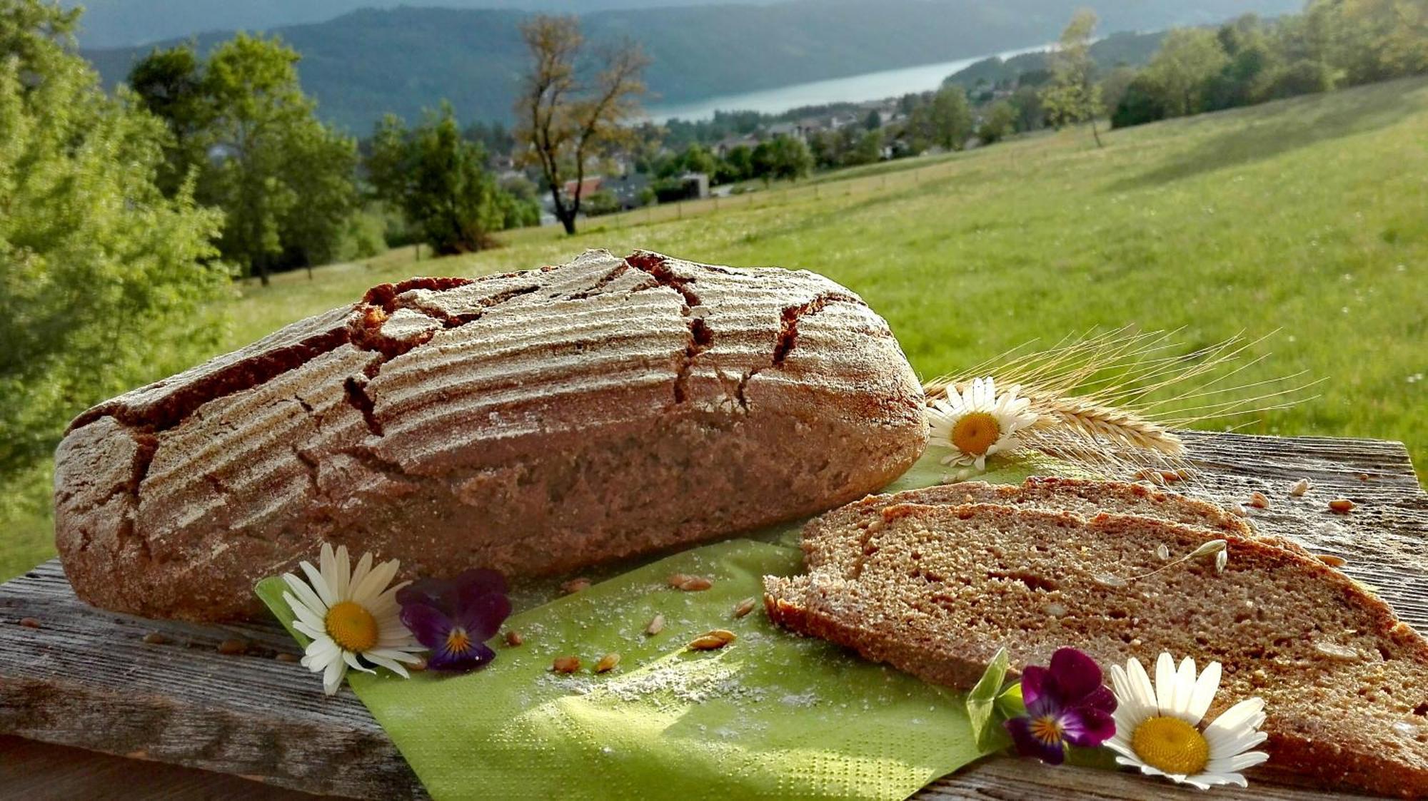 Bio- Und Vitalbauernhof Bacherhof มิลชตัทท์ ภายนอก รูปภาพ